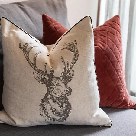 Chesa-strimer - Terrassa