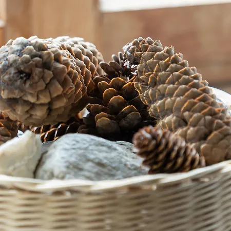 Chesa-strimer - Terrassa