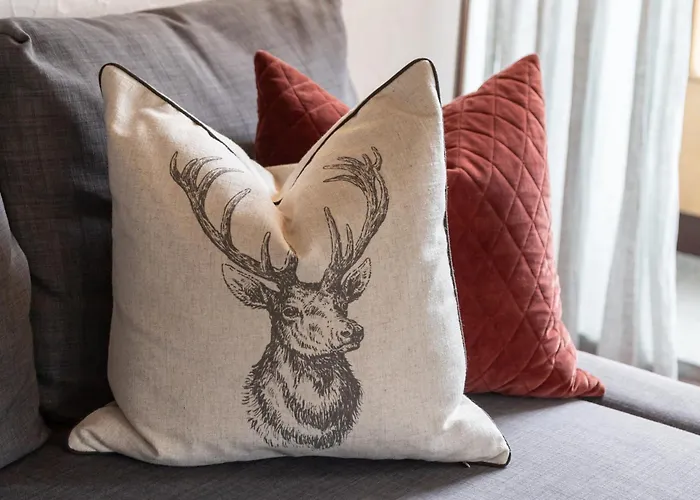 Chesa-strimer - Terrassa