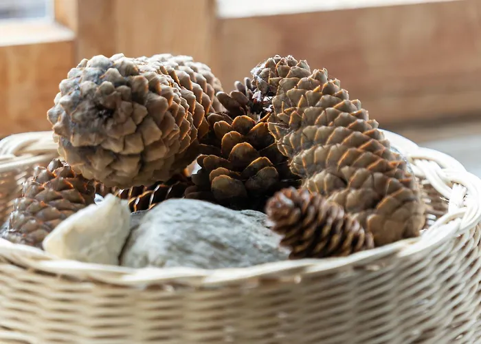 Chesa-strimer - Terrassa